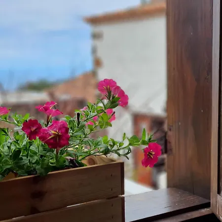 Viña Camello * Buenavista Del Norte