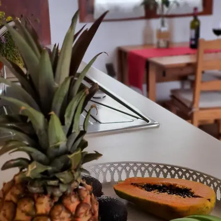 Viña Camello Buenavista Del Norte