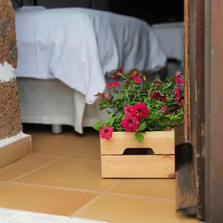 Viña Camello Buenavista Del Norte