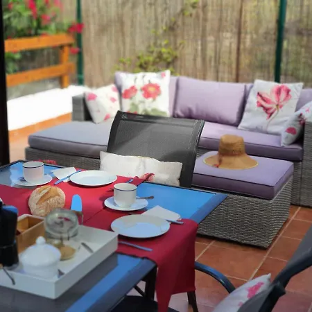 Viña Camello Buenavista Del Norte